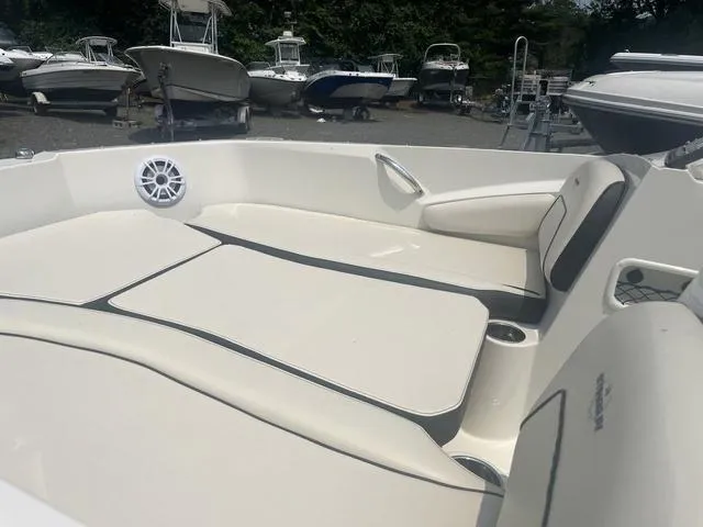 Slide: The Image of Stingray 191DC 2022 - 5