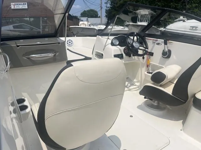 Slide: The Image of Stingray 191DC 2022 - 6