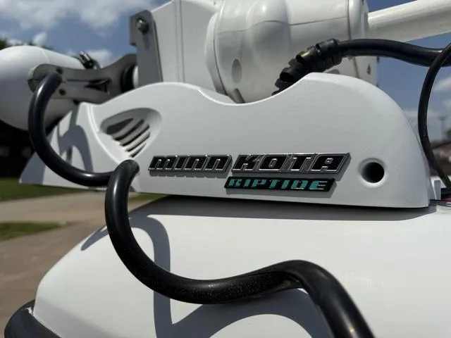 Slide: The Image of Champion 24 Bay 2008 - 6