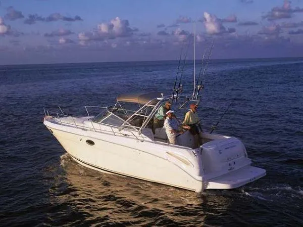 The Image of 2007 Sea Ray 290 Amberjack boat with two people fishing at sea. - 0