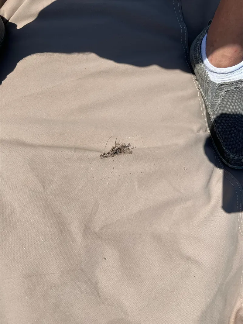 Slide: The Image of Palm Beach Deluxe 220 2008 - 13