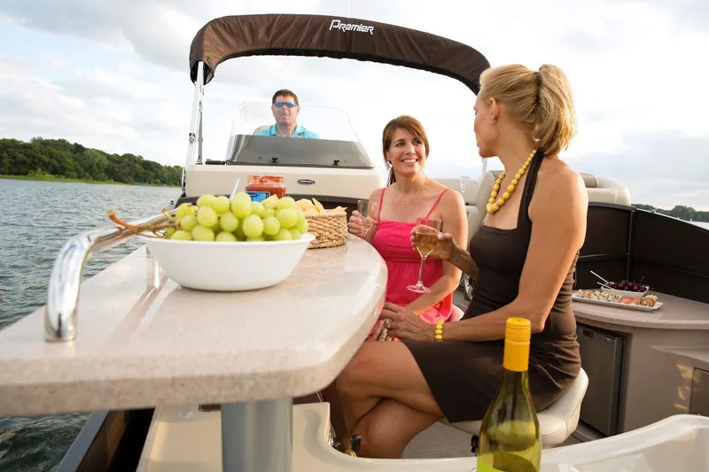 Slide: The Image of Premier 290 Grand View 2015 - 21