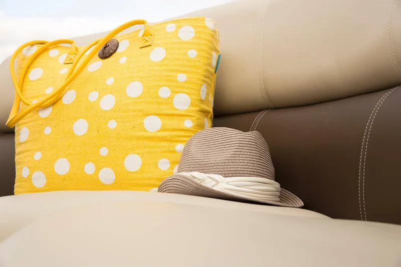 Slide: The Image of Premier 290 Grand View 2015 - 27