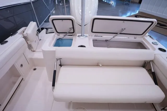 Slide: The Image of Grady-White Fisherman 236 2025 - 5