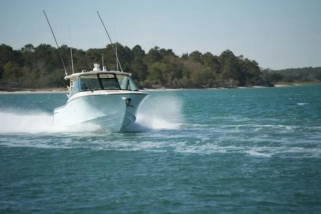 Slide: The Image of Grady-White Freedom 325 2025 - 11