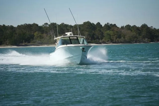 Slide: The Image of Grady-White Freedom 325 2025 - 9