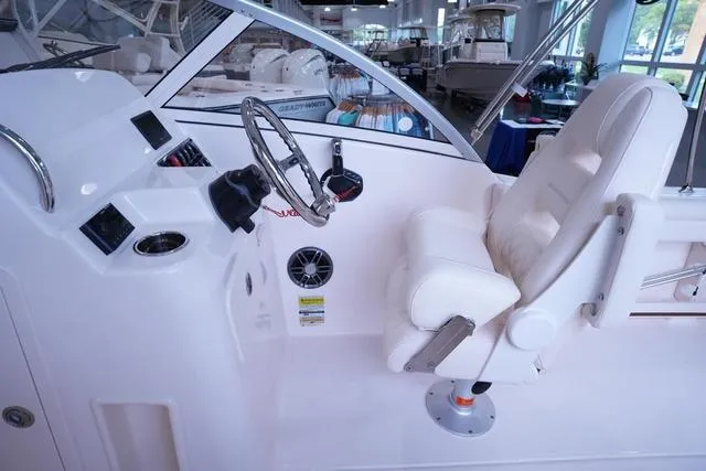 Slide: The Image of Grady-White Freedom 215 2025 - 6