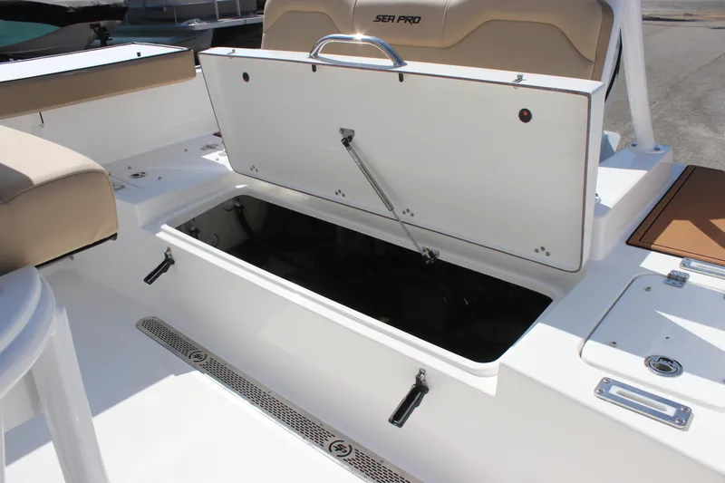 Slide: The Image of Sea Pro 225 Sandbar 2025 - 13