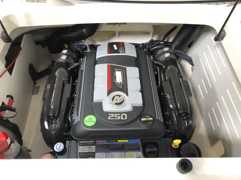 Slide: The Image of 2025 Sea Ray SPX 210 engine compartment with Mercury 250 horsepower engine. - 12