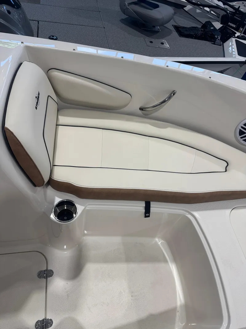 Slide: The Image of Stingray 172SC 2024 - 11