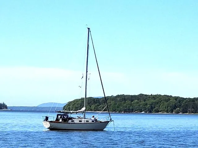 Slide: The Image of 1977 Cape Dory Sloop sailing on calm waters with lush green shoreline. - 1