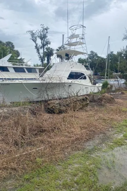 Slide: The Image of 1984 Post 43 Sport Fisherman boat docked near grassy shoreline under cloudy sky. - 3