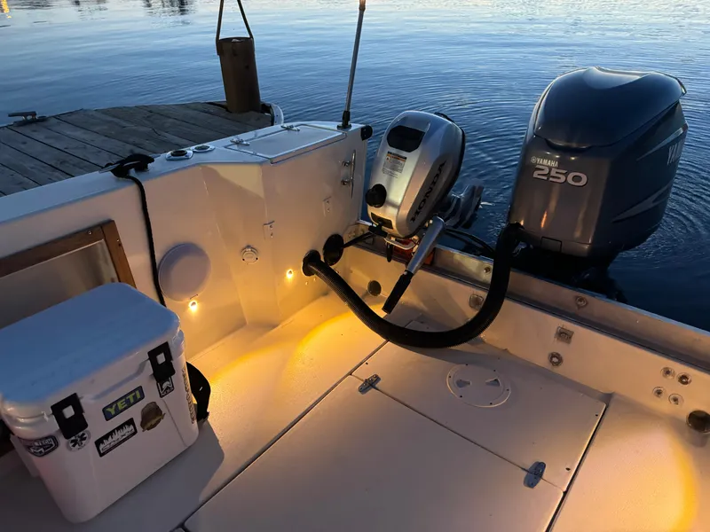 Slide: The Image of Custom Biddison 2200 boat, 1987 model, with Yamaha 250 engine at dockside. - 8