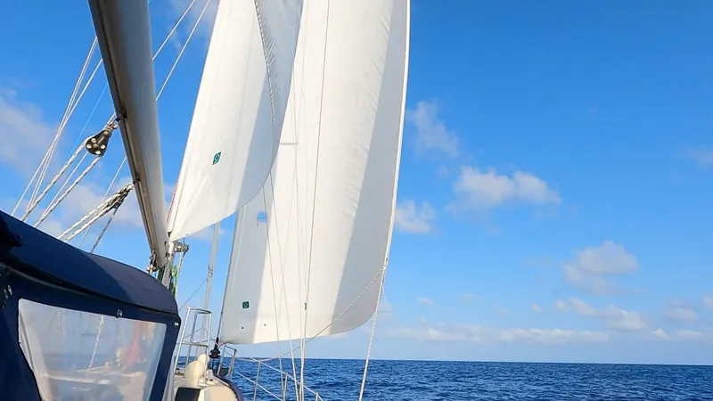 Slide: The Image of Island Packet 45 1999 - 58