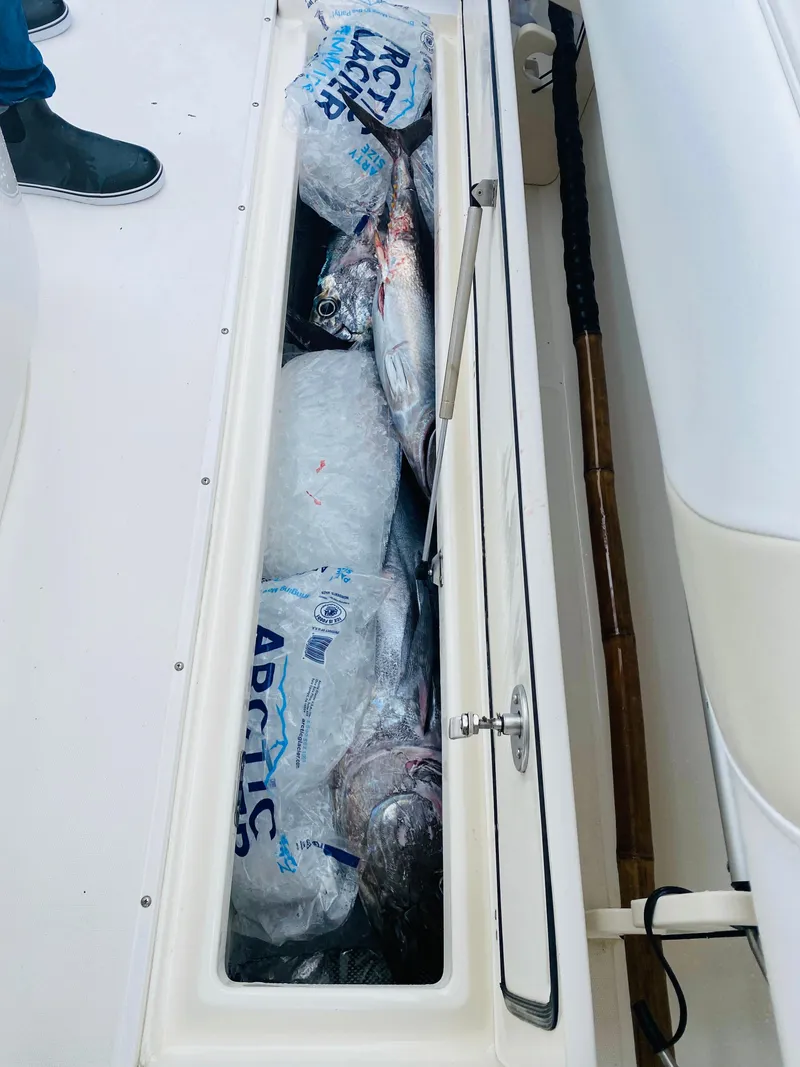 Slide: The Image of Fish storage compartment on 2007 Boston Whaler 320 Outrage, filled with ice and fish. - 32
