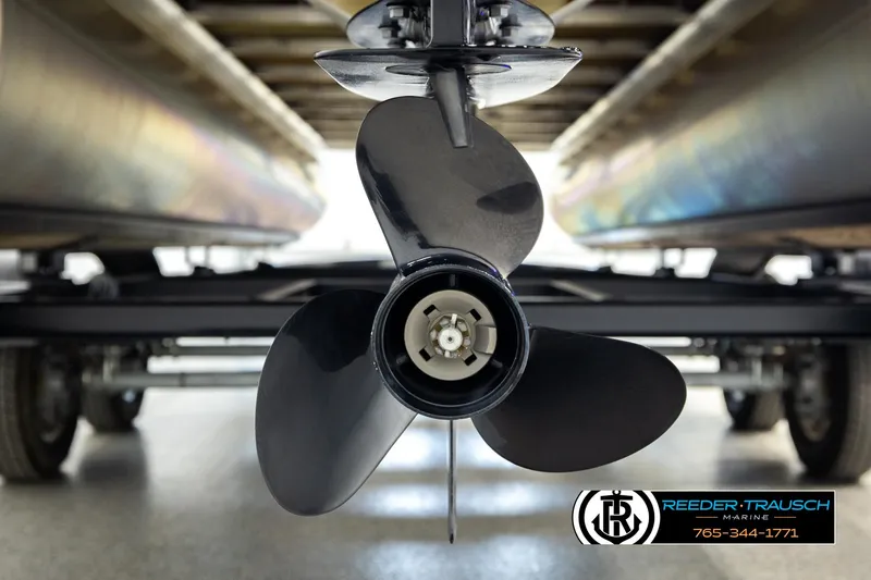 Slide: The Image of Avalon LSZ CRB 2024 - 48