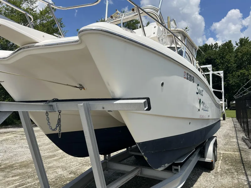 Slide: The Image of World Cat 266 SC 2002 - 20