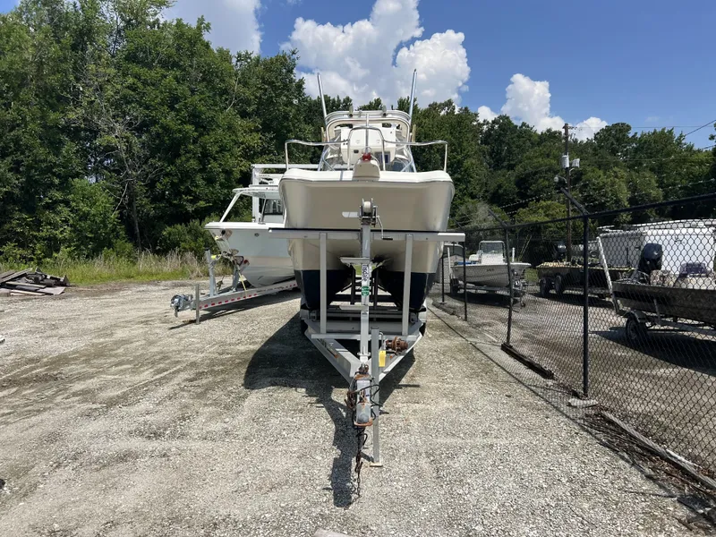 Slide: The Image of World Cat 266 SC 2002 - 3