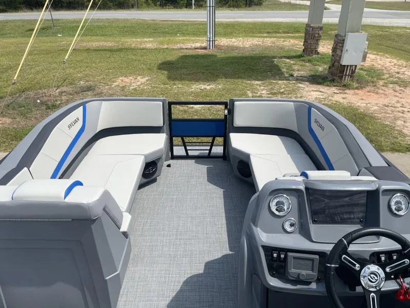 Slide: The Image of Sylvan A-20 LZ DH 2026 - 11