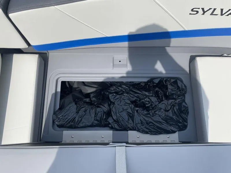 Slide: The Image of Sylvan A-20 LZ DH 2026 - 15