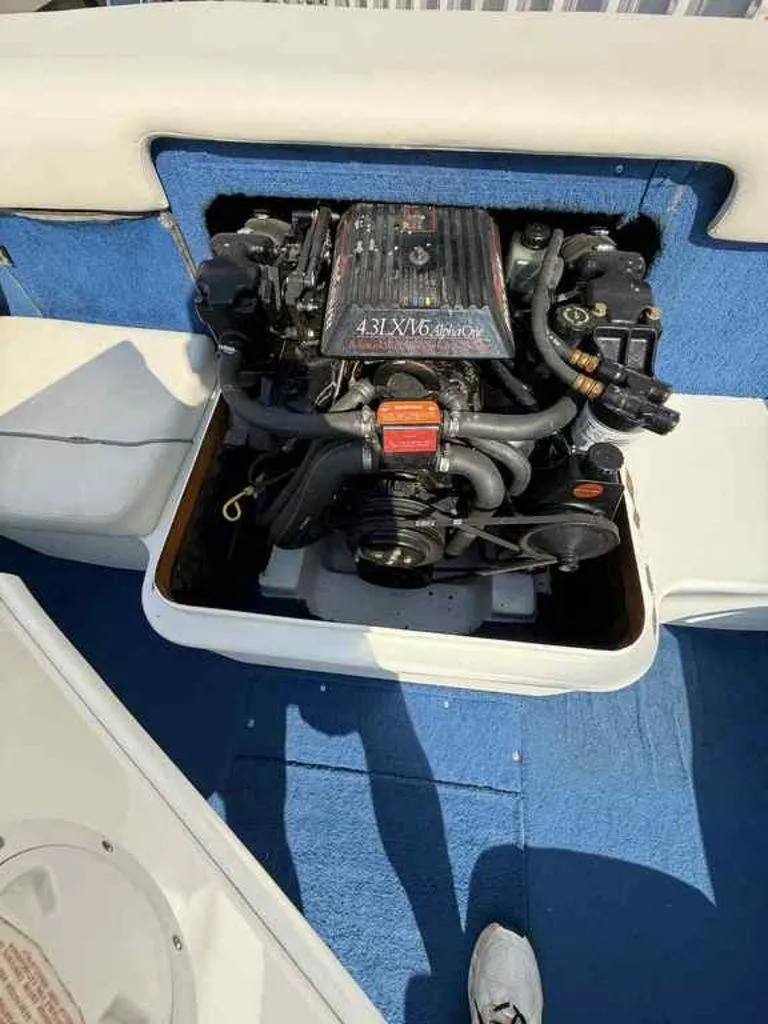 Slide: The Image of Sea Ray 195 1995 - 4