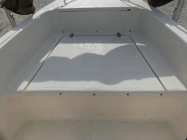 Slide: The Image of Scout 175 Sport Dorado 2018 - 13