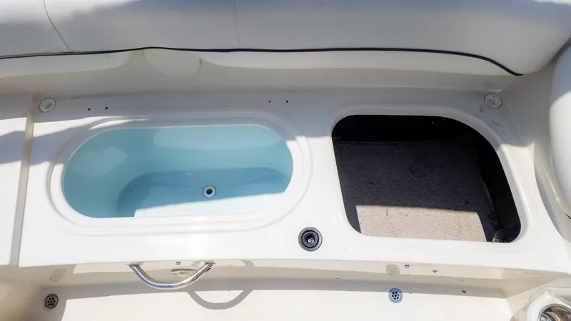 Slide: The Image of Stingray 201DS 2020 - 10