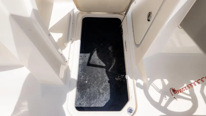 Slide: The Image of Stingray 201DS 2020 - 15