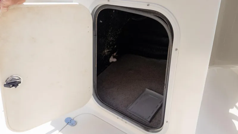 Slide: The Image of Stingray 201DS 2020 - 16