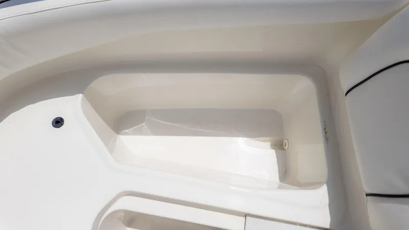 Slide: The Image of Stingray 201DS 2020 - 19