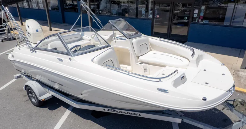 Slide: The Image of Stingray 201DS 2020 - 4