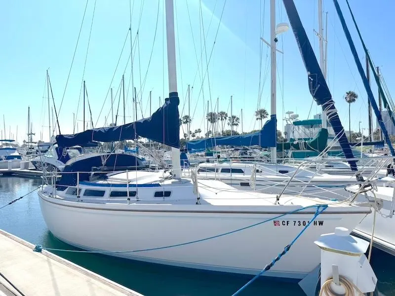 The Image of 1985 Catalina 30 sailboat docked at marina with blue covers and clear sky. - 0
