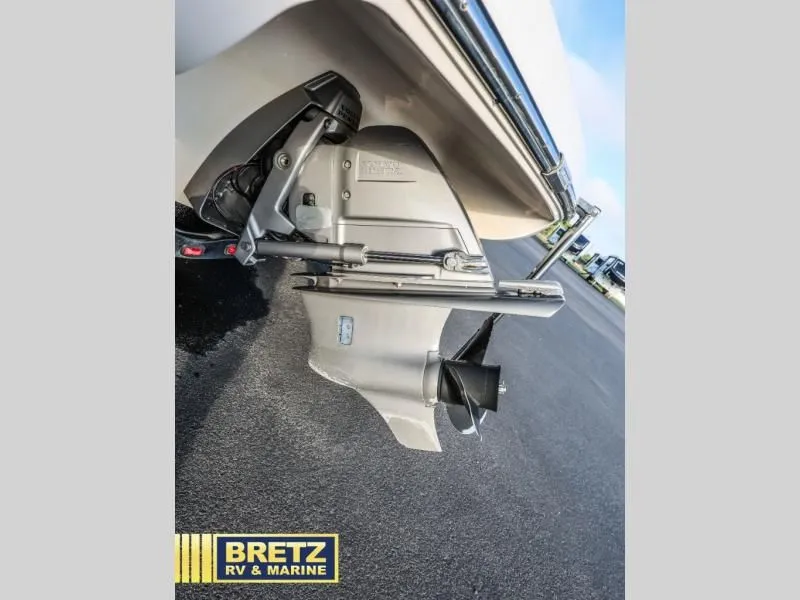 Slide: The Image of Shadow BR 2010 - 8