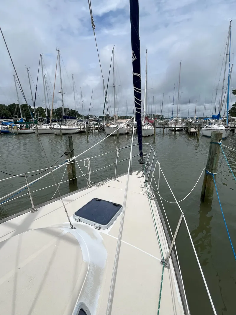 Slide: The Image of Sailboat docked in marina, Tartan 31 model, 1988, surrounded by other boats. - 3