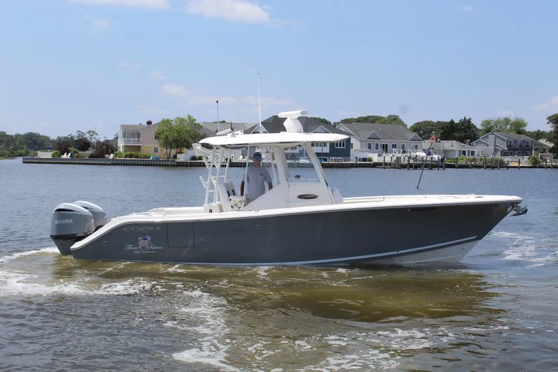 Slide: The Image of Cobia 301 2021 - 7