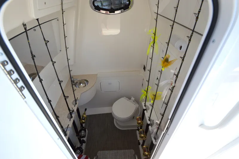 Slide: The Image of Regulator Marine 31 2023 - 29