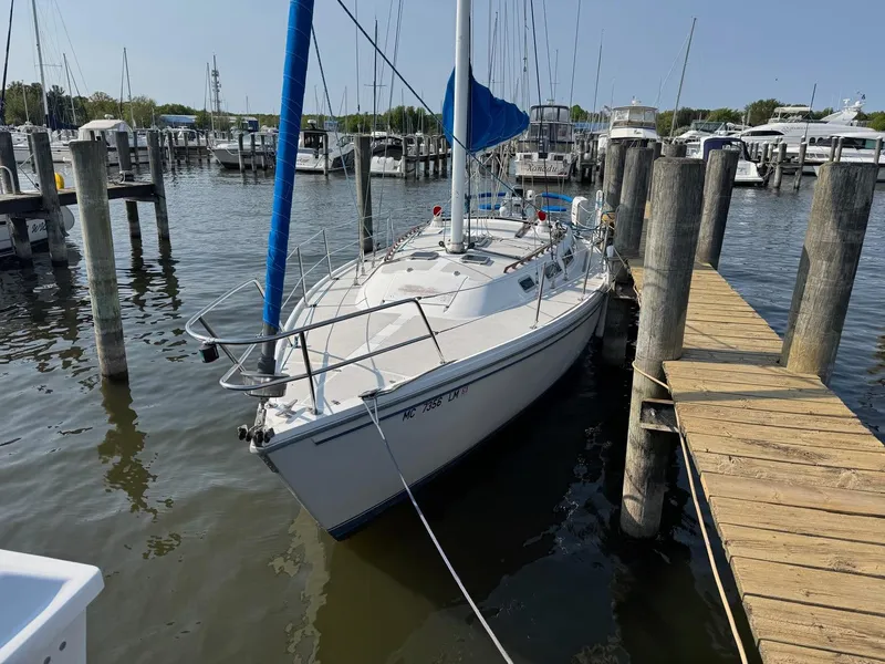 Slide: The Image of Catalina C-36 Sloop 1984 - 3