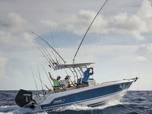 The Image of Boston Whaler 230 Outrage 2026 - 0