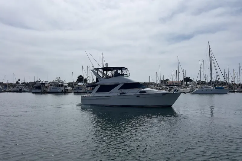 Slide: The Image of 1999 Bayliner 3988 Command Bridge Motoryacht docked in a marina, surrounded by sailboats. - 45