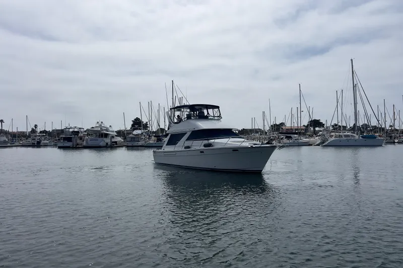 Slide: The Image of 1999 Bayliner 3988 Command Bridge Motoryacht docked in a marina, surrounded by sailboats. - 46