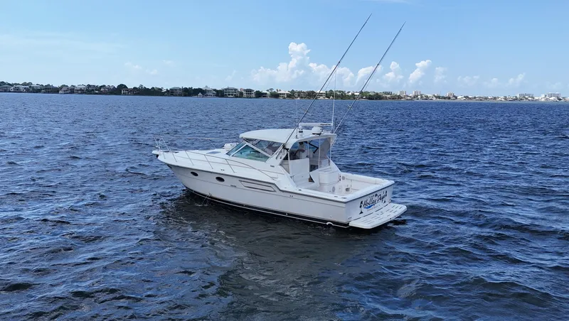 Slide: The Image of 2000 Tiara Yachts 3700 Open cruising on a calm blue sea under a clear sky. - 2