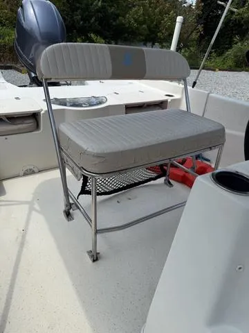 Slide: The Image of Carolina 198 DLV 2015 - 7