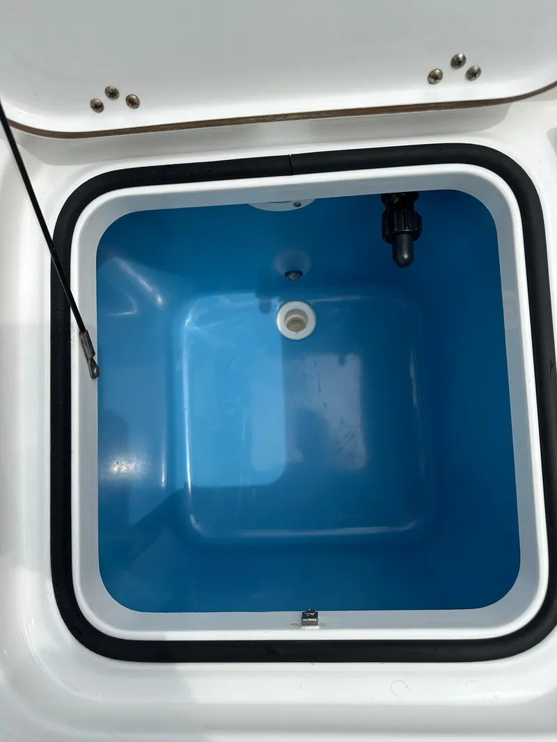 Slide: The Image of Open blue livewell in a 2019 Young 27 boat. - 35
