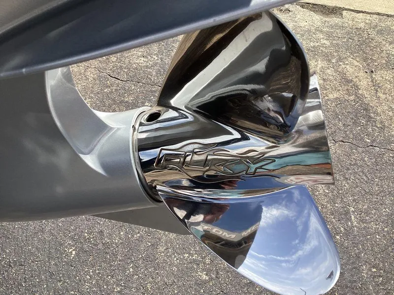 Slide: The Image of Bass Cat Caracal STS 2025 - 17