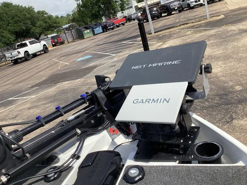 Slide: The Image of Bass Cat Caracal STS 2025 - 24