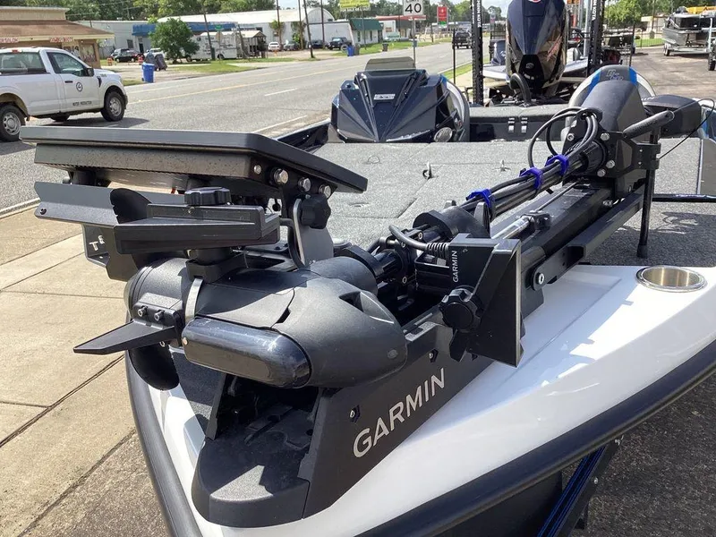 Slide: The Image of Bass Cat Caracal STS 2025 - 31