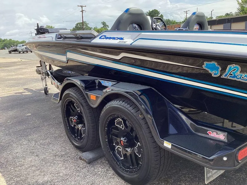 Slide: The Image of Bass Cat Caracal STS 2025 - 34