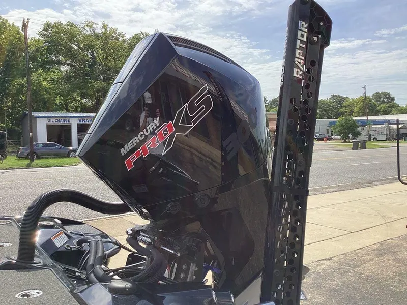 Slide: The Image of Bass Cat Caracal STS 2025 - 8