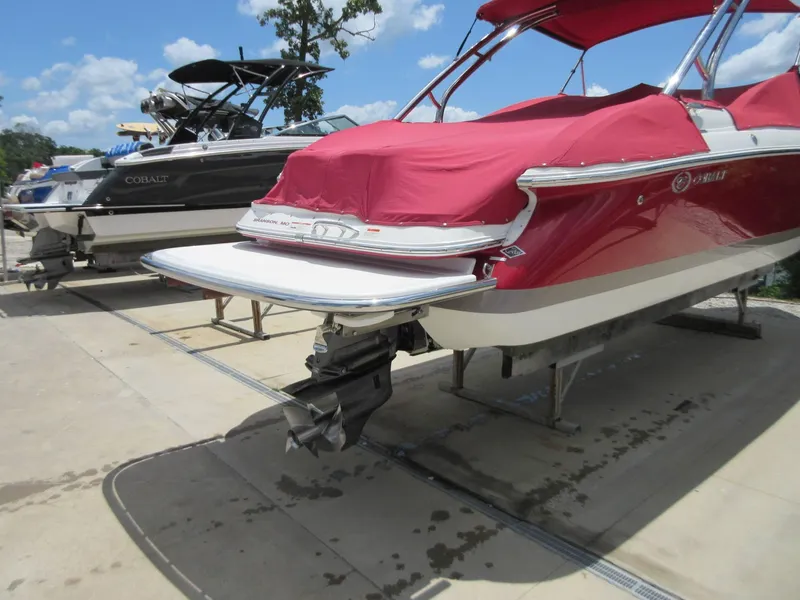 Slide: The Image of Cobalt 272 2007 - 18