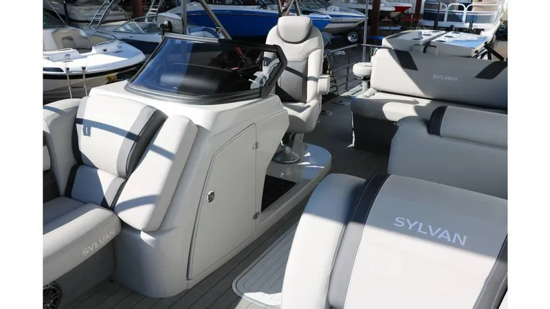 Slide: The Image of Sylvan L3 DLZ Bar Tri Toon 2025 - 25